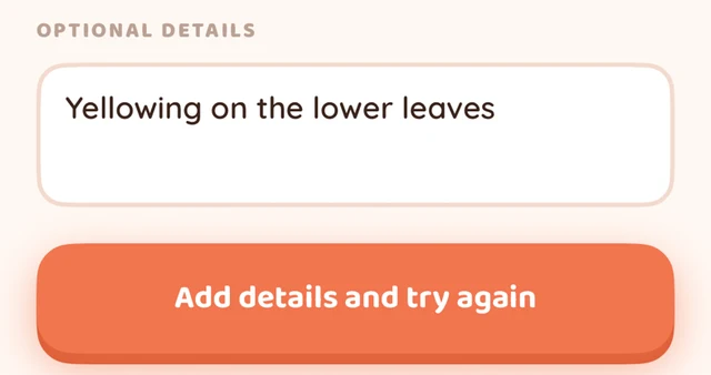 Bloom’s optional details field contains Yellowing on the lower leaves, above Add details and try again.